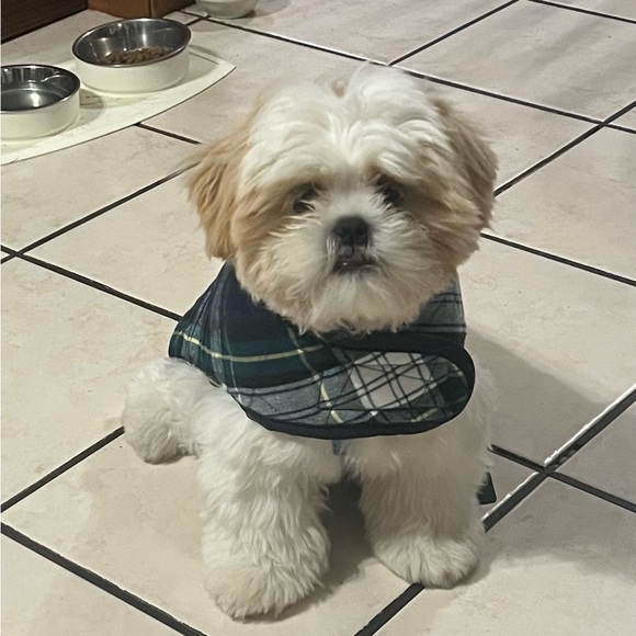 Meet your Posher, Kim - Picture 2 of 5